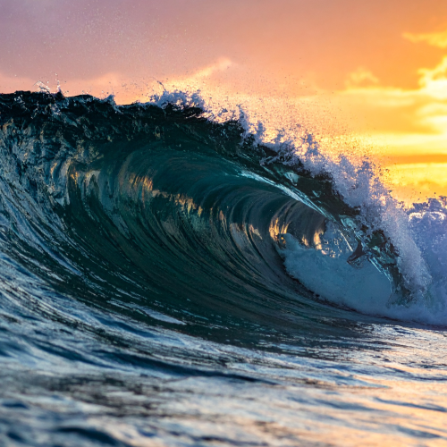 BluWave Update: Project Tsunami